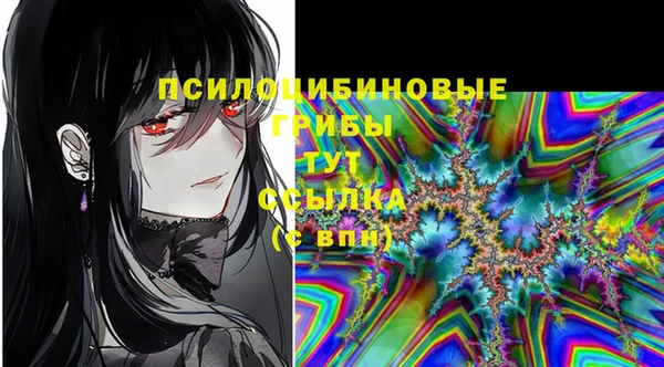 ПСИЛОЦИБИНОВЫЕ ГРИБЫ Арсеньев